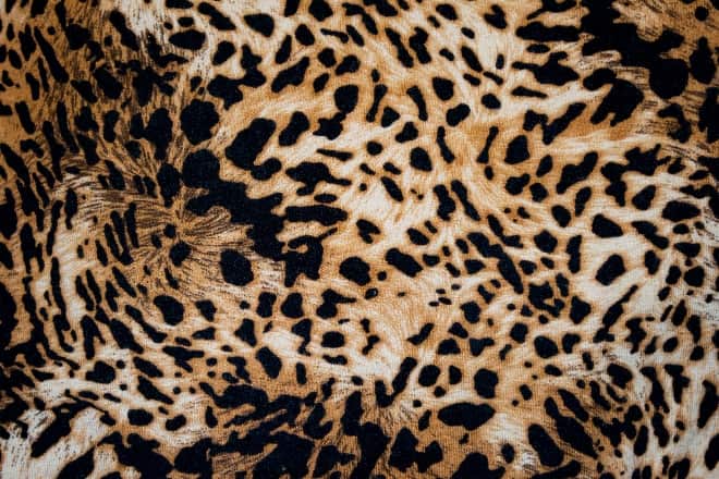 venta de tela de leopardo