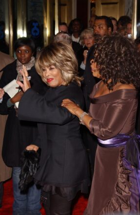 Los momentos de moda más icónicos de Tina Turner Los momentos de moda más icónicos de Tina Turner